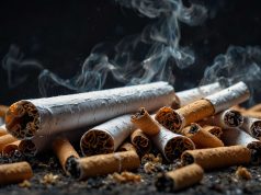 Colillas: 15, 000 fibras de microplásticos por filtro, un peligro para los animales Colillas: 15, 000 fibras de microplásticos por filtro, un peligro para los animales